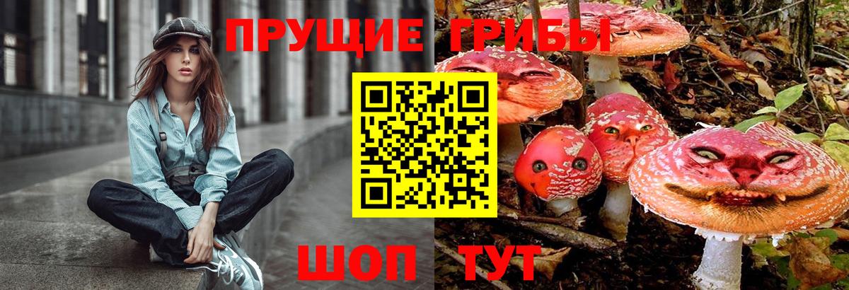 Псилоцибиновые грибы Cubensis Новодвинск